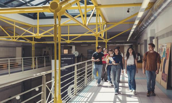 Pubblicata la graduatoria del bando per l'assegnazione di borse di studio per studentesse in ambito STEM.